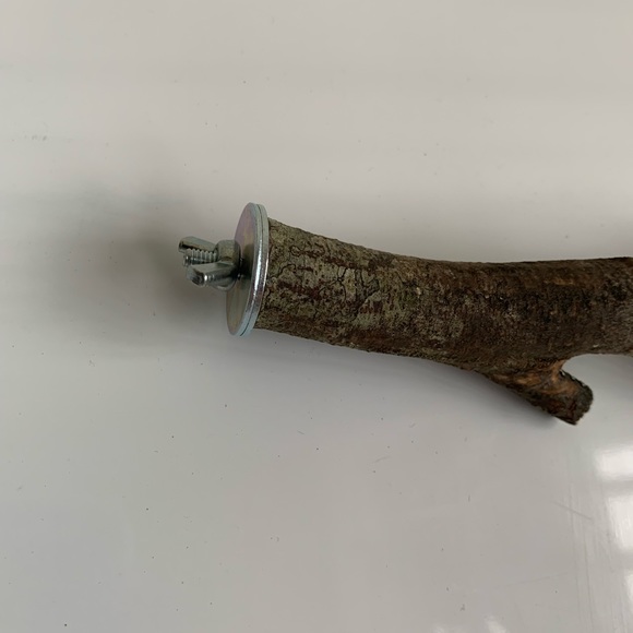 Bird perch for small birds - Picture 2 of 5